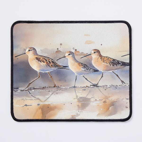 Item preview, Sandpiper March designed and sold by laurashawart.