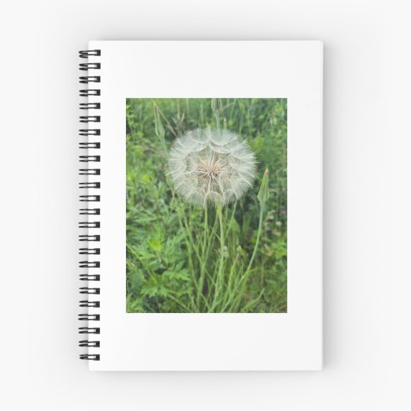 Item preview, Dandelion designed and sold by Clemko.