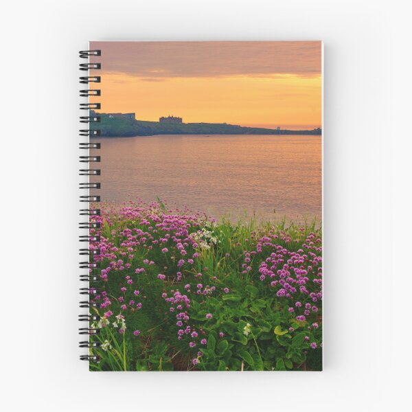 Item preview, Newquay Coast Sunset designed and sold by Alisonchambers2.