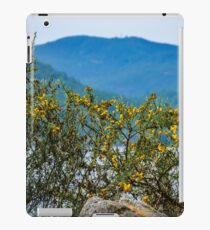 Mountain Views iPad Case/Skin
