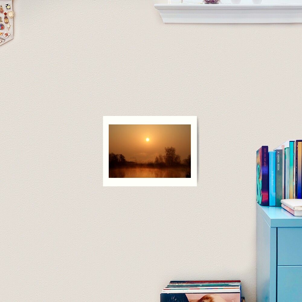 Heron lake Art Print