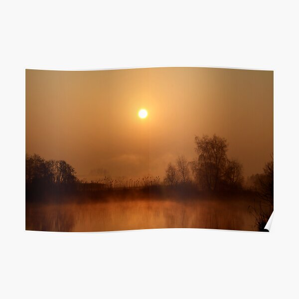 Heron lake Poster