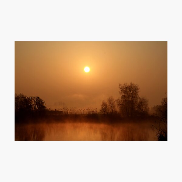 Heron lake Photographic Print