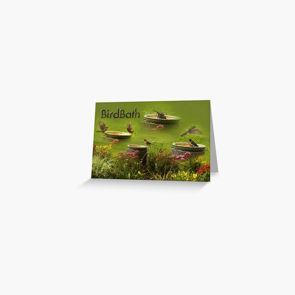 Birdbath Greeting Card