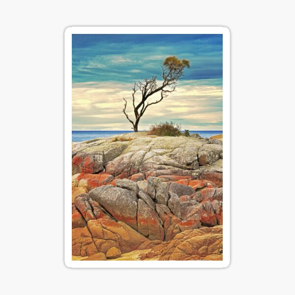 Item preview, 2225 Bay of Fires designed and sold by Hans Kawitzki.