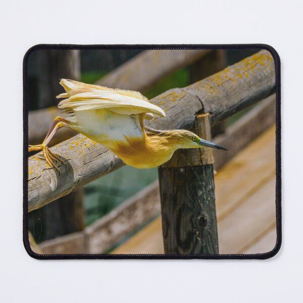 Item preview, Squacco Heron launch designed and sold by Ralph Goldsmith.