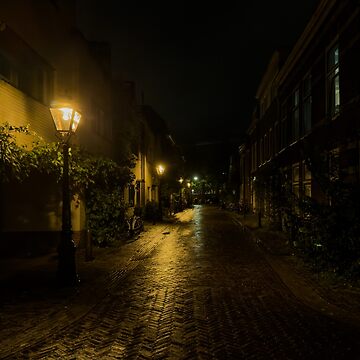 Artwork thumbnail, Rain-Wet Cobblestone Alley, Leiden by expat-camera