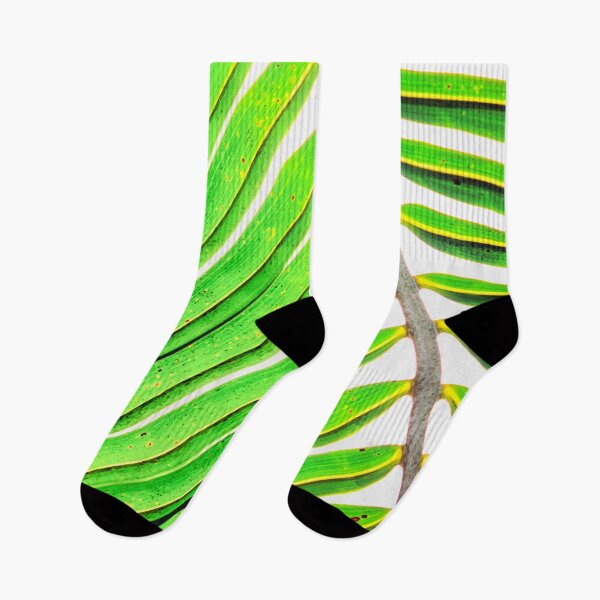 Item preview, Tropicália 124 designed and sold by John Seaton Callahan.
