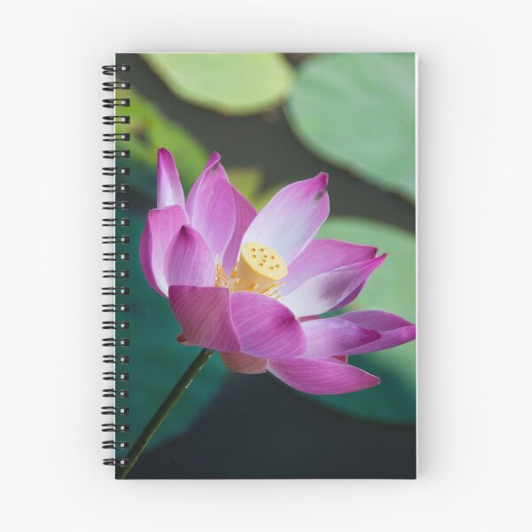 Item preview, Lotus Flower - Ubud, Bali designed and sold by Gypsy Soul Images.