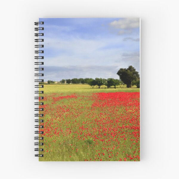 Item preview, Apulia countryside designed and sold by annalisa56.