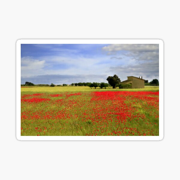 Item preview, Apulia countryside designed and sold by annalisa56.