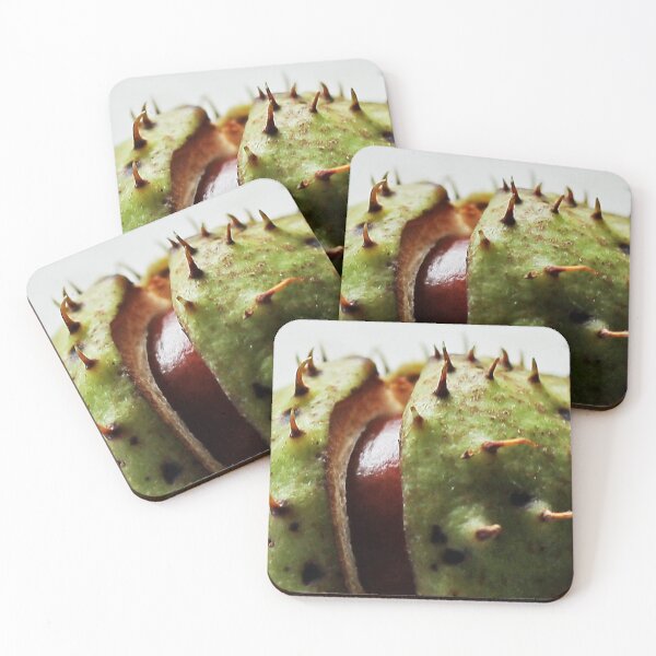 Item preview, Conker designed and sold by Murph's Images.