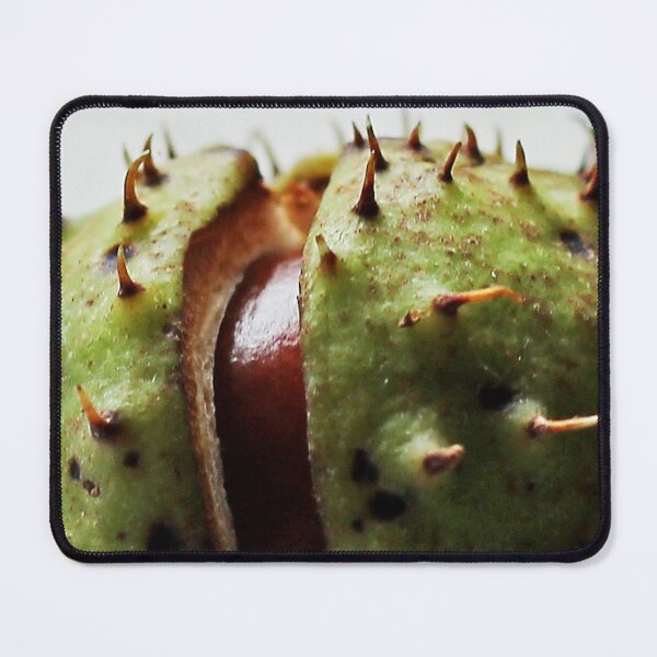 Item preview, Conker designed and sold by Murph's Images.