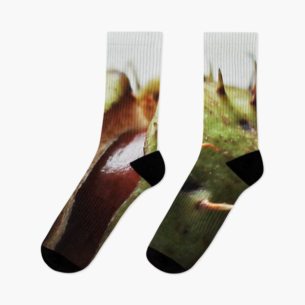 Item preview, Conker designed and sold by Murph's Images.