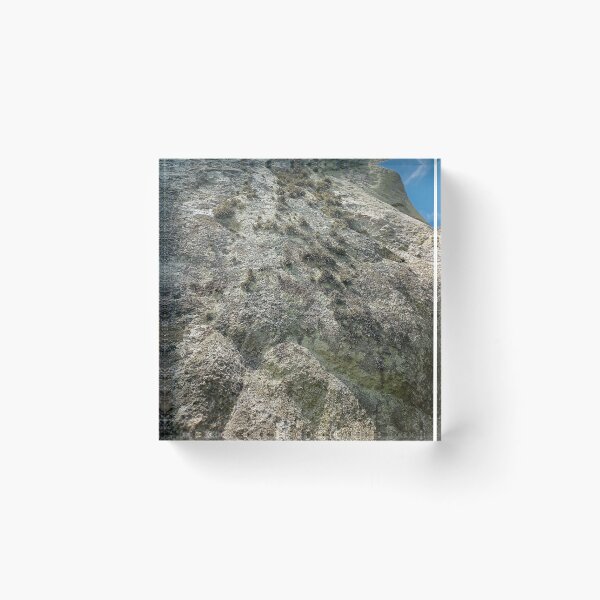 Item preview, Ancient Lichen designed and sold by Murph's Images.