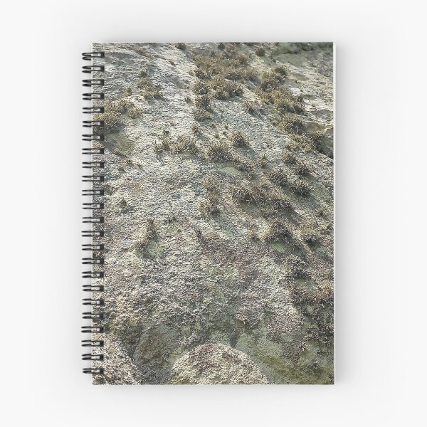 Item preview, Ancient Lichen designed and sold by Murph's Images.