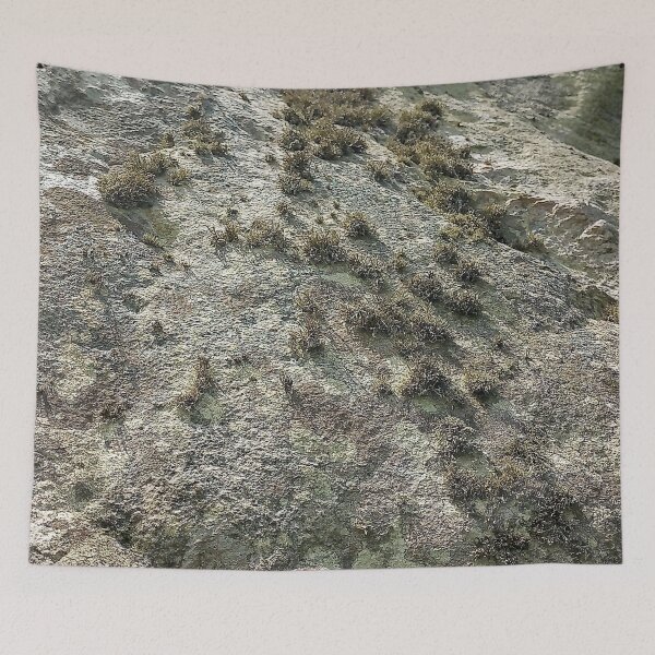 Item preview, Ancient Lichen designed and sold by Murph's Images.