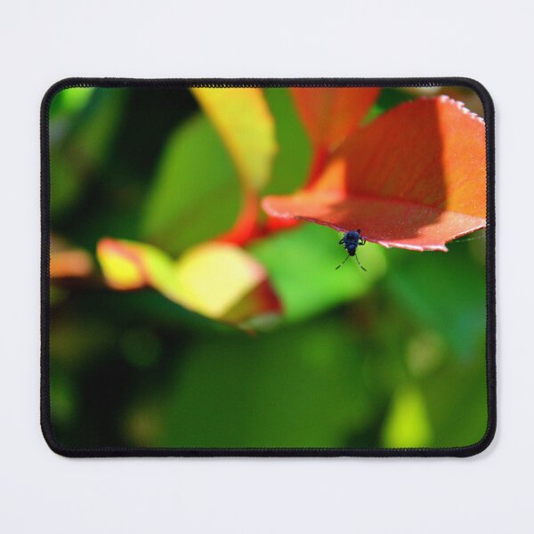 Item preview, Balancing act on the edge of the sheet designed and sold by Ristridin1988.