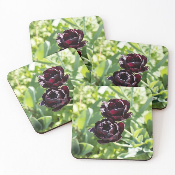 Item preview, Queen Of The Night Black Tulip Pair designed and sold by Georgia Mizuleva.