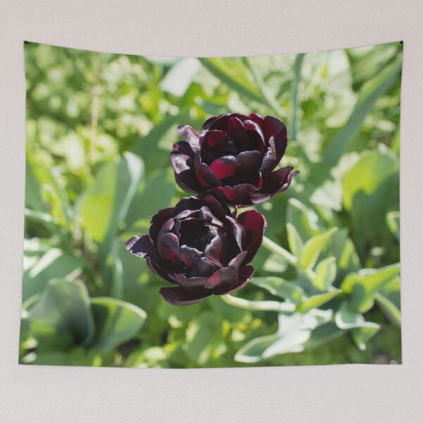 Item preview, Queen Of The Night Black Tulip Pair designed and sold by Georgia Mizuleva.