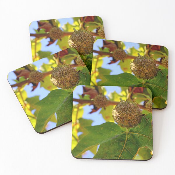 Item preview, Autumn fruit of the plane tree designed and sold by Ristridin1988.