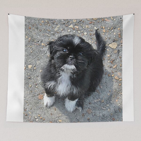 Item preview, Adorable Puppy designed and sold by fundingafuture.