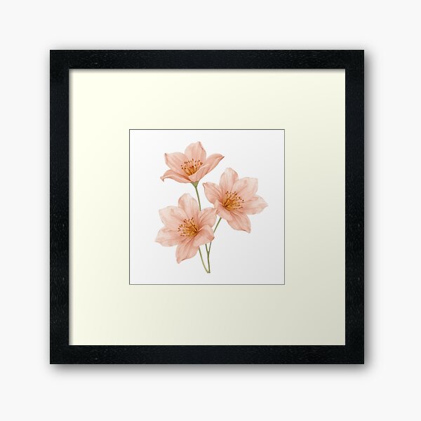 Aperçu de l'œuvre Illustration de mangolia rose à l'aquarelle créée et vendue par sana designer.