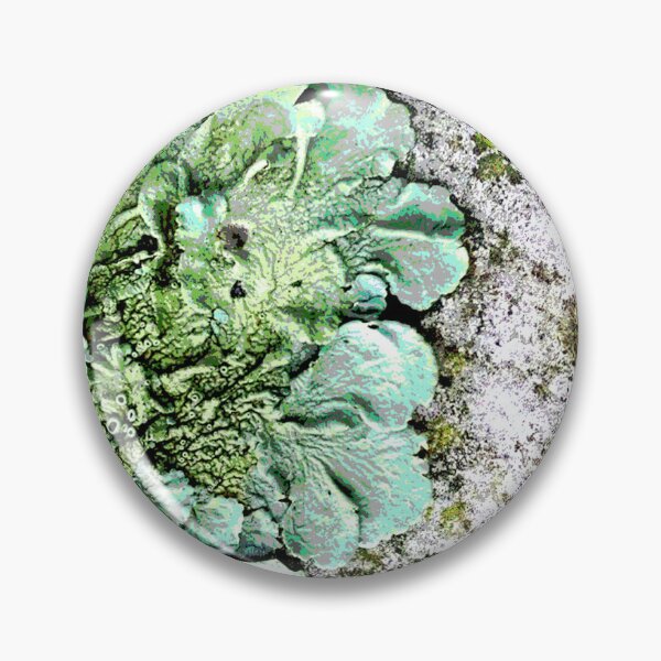 Item preview, Original art Lichen landscape designed and sold by SueHolmArt.