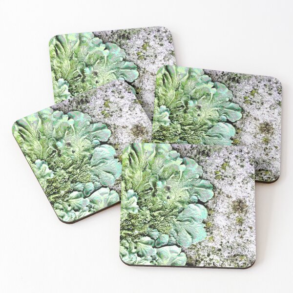 Item preview, Original art Lichen landscape designed and sold by SueHolmArt.