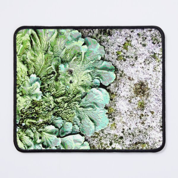 Item preview, Original art Lichen landscape designed and sold by SueHolmArt.