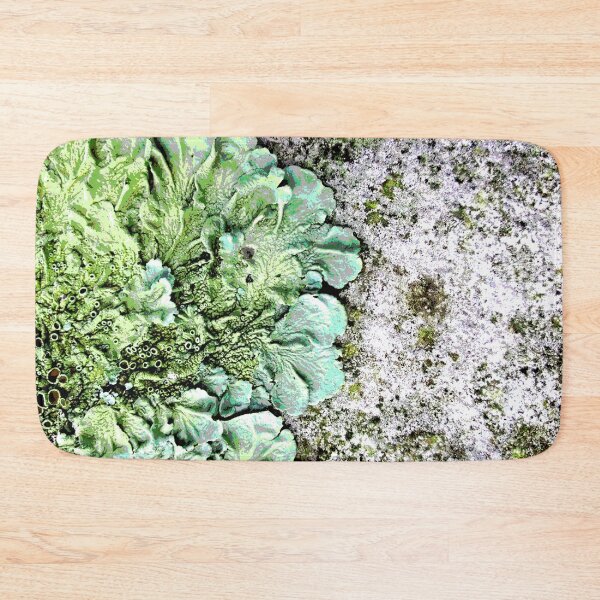 Item preview, Original art Lichen landscape designed and sold by SueHolmArt.