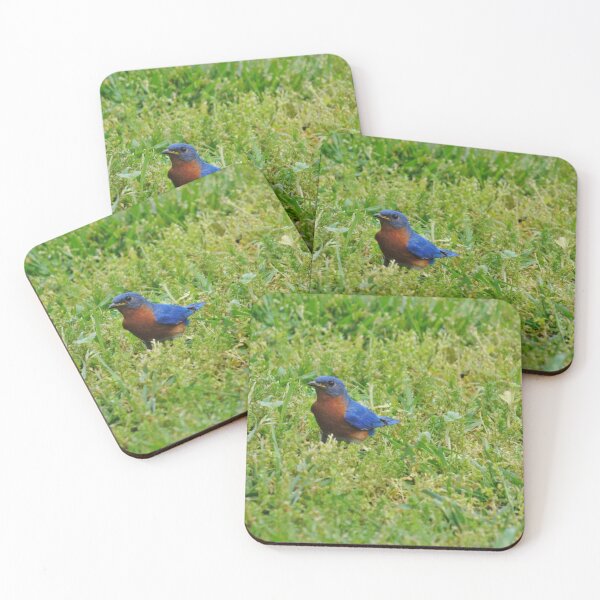 Item preview, Beautiful Bluebird designed and sold by fundingafuture.