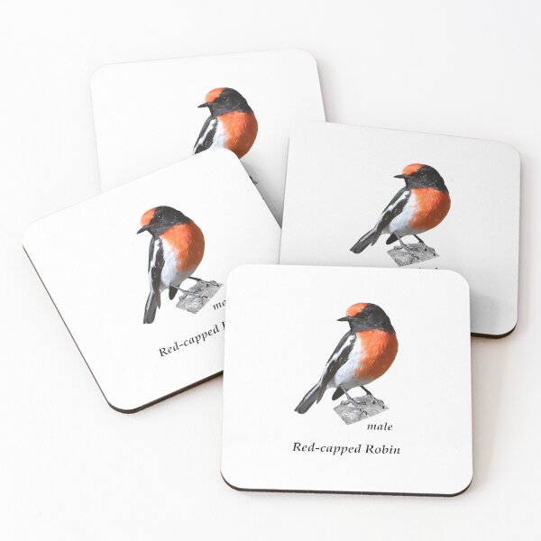 Item preview, Red-capped Robin male designed and sold by quentinjlang.