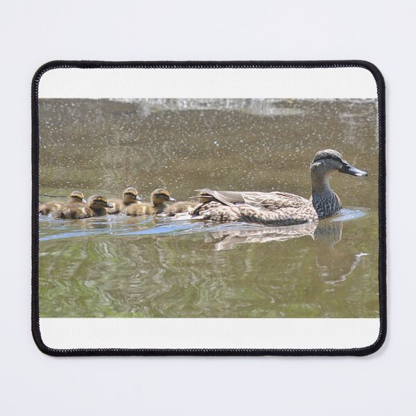 Item preview, Line of Ducks designed and sold by fundingafuture.