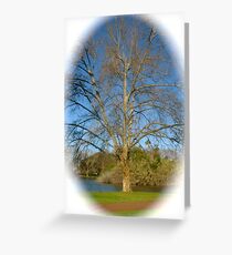 Halo Greeting Card