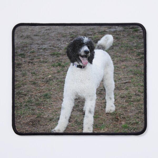Item preview, Pretty Poodle designed and sold by fundingafuture.