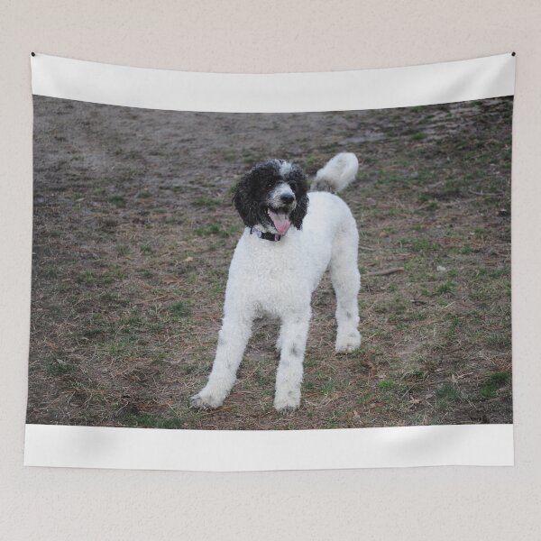 Item preview, Pretty Poodle designed and sold by fundingafuture.