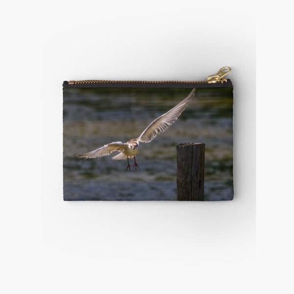 Item preview, Whiskered Tern 1 designed and sold by Ralph Goldsmith.