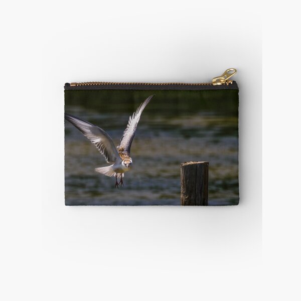 Item preview, Whiskered Tern 2 designed and sold by Ralph Goldsmith.