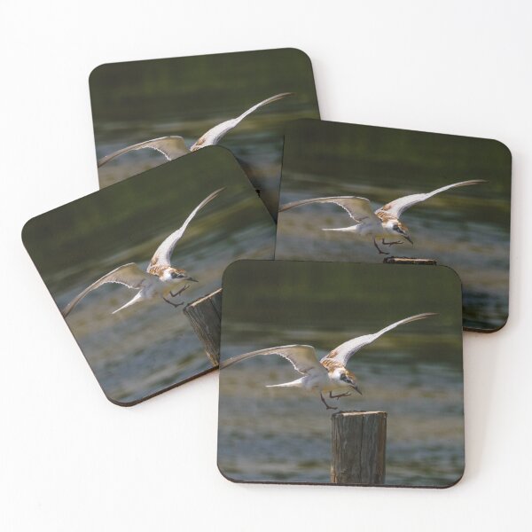Item preview, Whiskered Tern 3 designed and sold by Ralph Goldsmith.