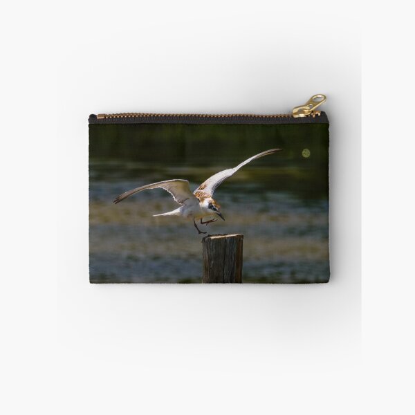 Item preview, Whiskered Tern 3 designed and sold by Ralph Goldsmith.