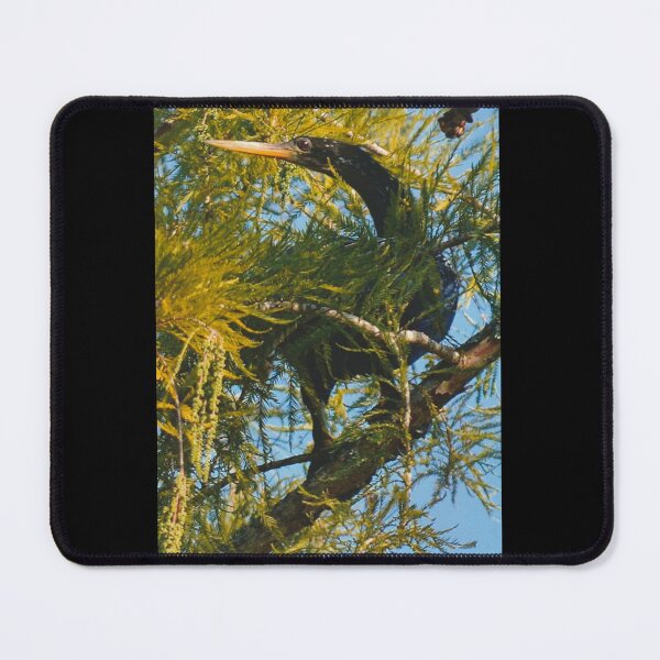 Item preview, Beautiful Bird in a Tree designed and sold by fundingafuture.