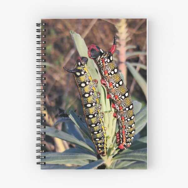 Item preview, Colorful Spring designed and sold by Desenho e Fotografia.