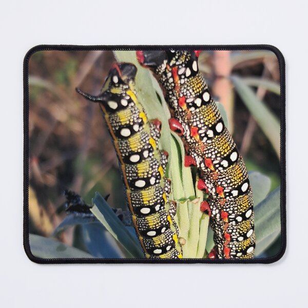 Item preview, Colorful Spring designed and sold by Desenho e Fotografia.