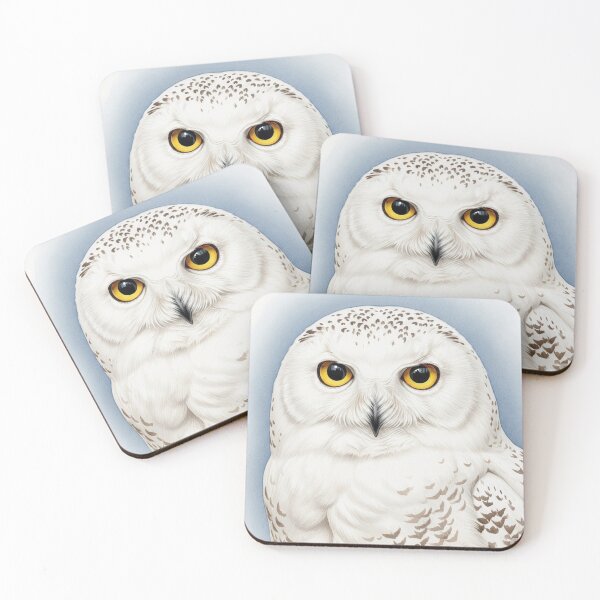 Item preview, Eagna - Companion to the Oggy Series of Children's Stories designed and sold by OggysPress.