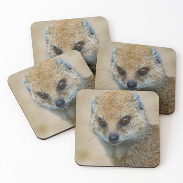 Item preview, mongoose designed and sold by Perggals© - Stacey Turner.