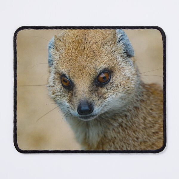 Item preview, mongoose designed and sold by Perggals© - Stacey Turner.