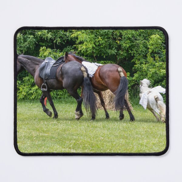 Item preview, Medieval Horses at Toronto Faire designed and sold by jrtwynam.