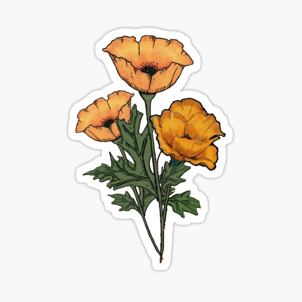 Item preview, Orange Poppies, Three Flowers, Original Digital Drawing designed and sold by JoyfulWhimsy.