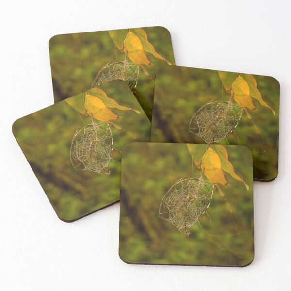 Item preview, Early Bird Gets The Webs designed and sold by Debra Martz.